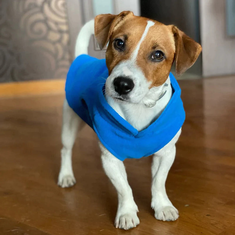 Roupinha para cães - Dozoo Pet