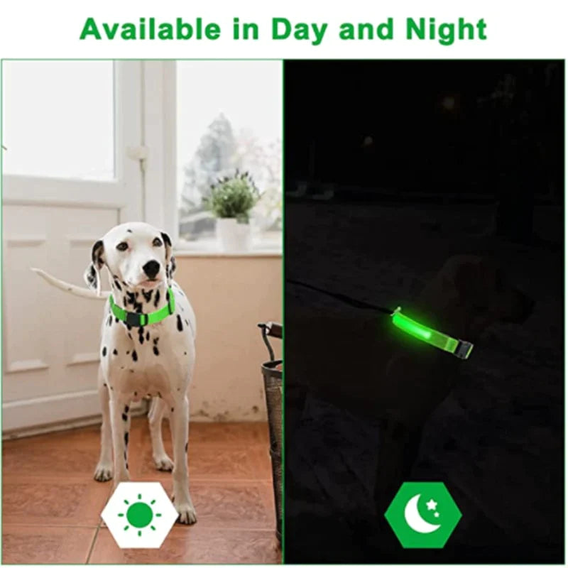 Coleira LED - pets - Dozoo Pet