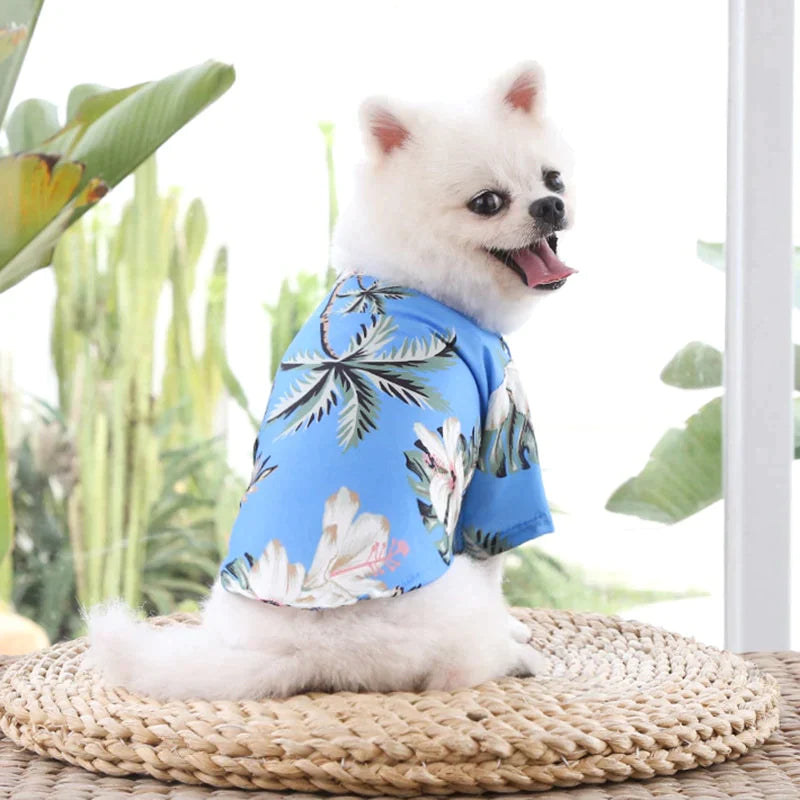 Camisa florida para pet - Dozoo Pet