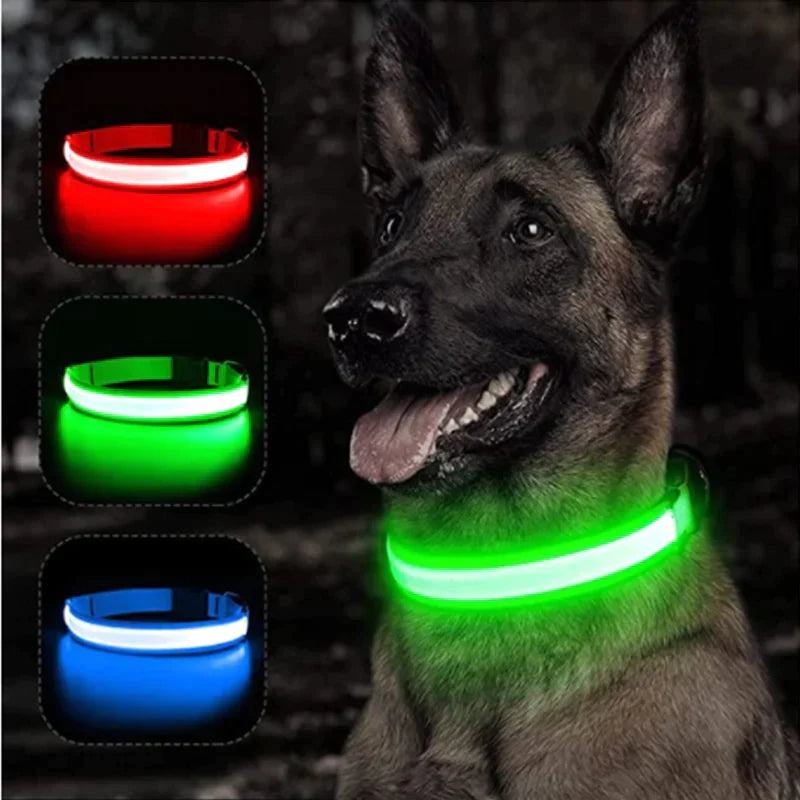 Coleira LED - pets - Dozoo Pet