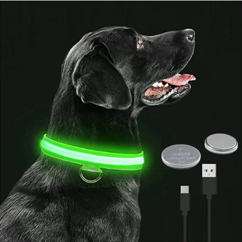 Coleira LED - pets - Dozoo Pet