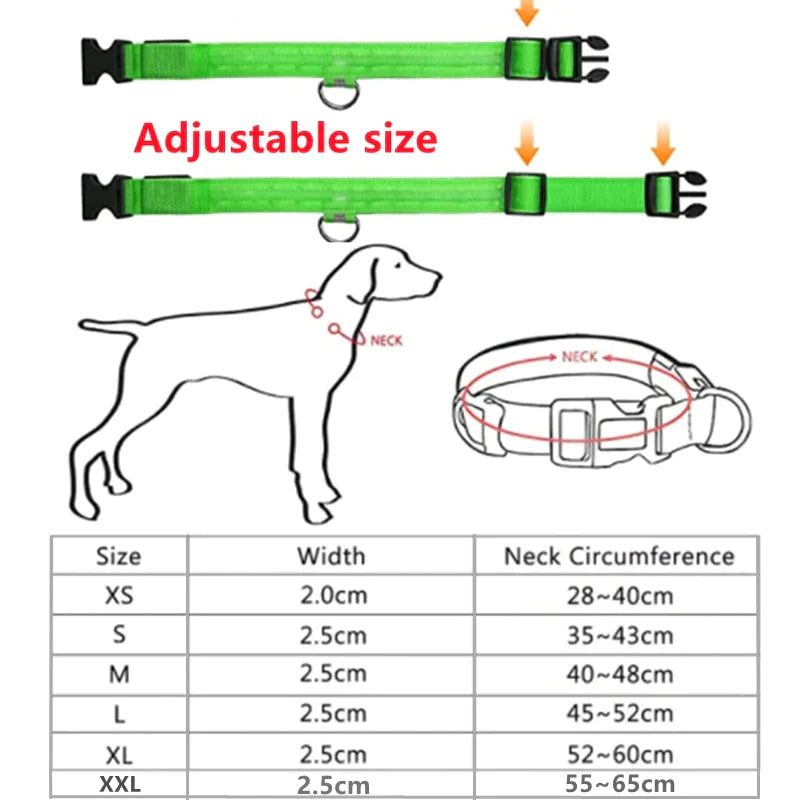 Coleira LED - pets - Dozoo Pet